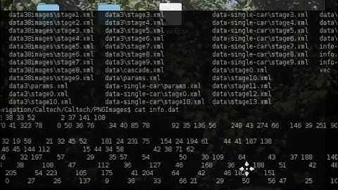 Cascade Classification in OpenCV - Part 6
