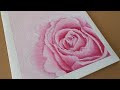 Rose - Oil Painting Time-lapse 玫瑰花 油画