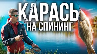 Системный КАРАСЬ на МОРМЫШКУ | Климанов х Доронин
