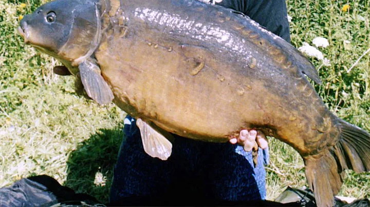 Carp Fishing - Jim Shelley in Search of Mary