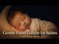 Gentle Piano Lullaby for Babies 🌙 Soft Sleep Music (1 Hour • No Ads • Seamless Loop)