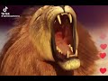 Tiktok lion gift animation