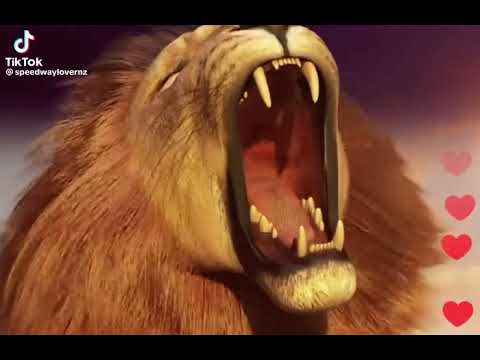 Tiktok Lion Gift Animation
