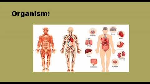 Metropolitan School Week 2 Class 5 Science Lesson