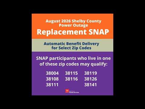 TDHS shares update about Replacement SNAP Program