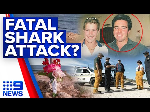 Search continues for missing surfer feared dead after shark attack in sa | 9 news australia