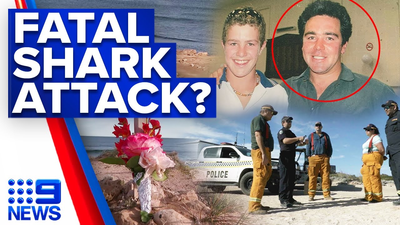 Search continues for missing surfer feared dead after shark attack in SA | 9 News Australia