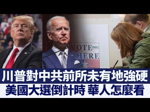 记者直击：美国大选倒计时 华人怎么看