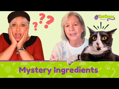 What's Really in Your Cat's Food Bowl? Expert Interview!