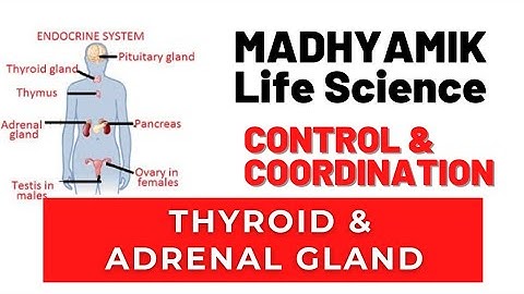Madhyamik Life Science Chapter 1 Control and Coordination in living organisms  By Ramadan Tutorial