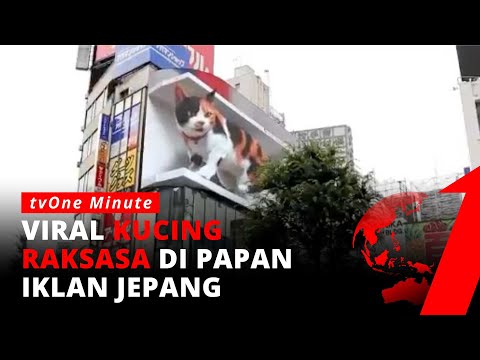 Video: Kucing Apa Yang Dipaparkan Dalam Iklan