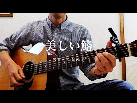 美しい鰭 / スピッツ 弾き語りカバー