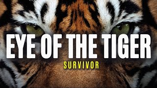 Survivor - Eye Of The Tiger (Lyrics)