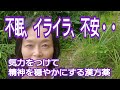 京都美山から｜桂枝加竜骨牡蛎湯【不眠・イライラ・不安など】京都女性漢方まつみ薬局