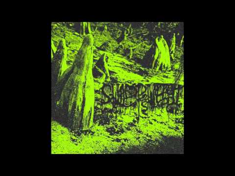Swamp Witch -
