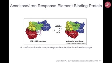 Yet another interaction network : 3