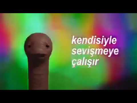 31 çekmek sanattır