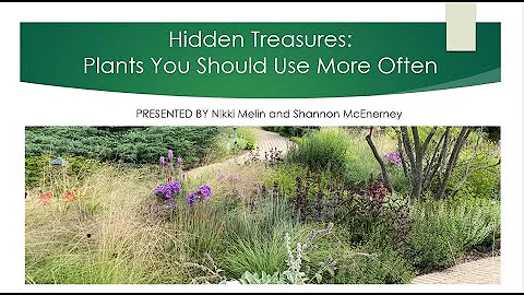Hidden Treasures: Plants You Should Use More Often Webinar