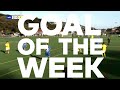 Goal of the Week | New Zealand Football | Week 17