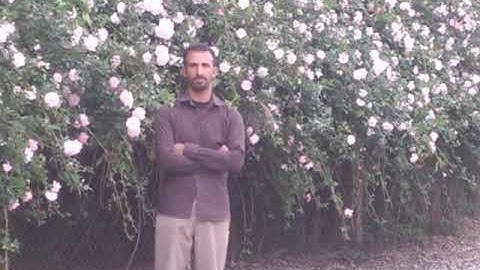 اجمل تجويد للقارئ المله ابراهيم سمير البياتي