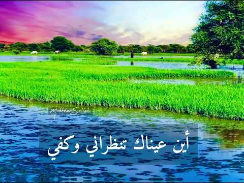 أيها الغائب ديمي منت ابه 