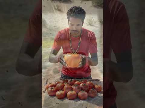 Making tomtom with tomatoes #viral #automobile #ai