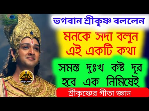 ভিডিও: গুরুত্বপূর্ণ অমৃত সম্পর্কে একটি কথা বলুন