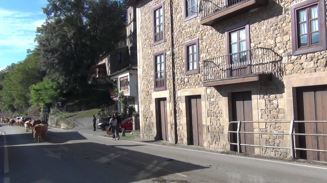 feria de Valle de Cabuérniga 22-10-2015