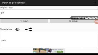 Gaydis? (English to Malay translator screenshot 2