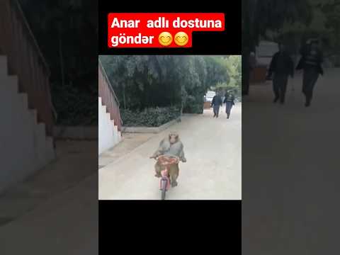 Gülmeli  videolar  anar  adlı  dostuna  göndər