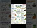class 10th geography resources and development full chapter explanation by mind maps #quick revise