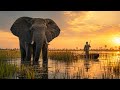 The Real Reason Botswana is Africa’s Richest Secret