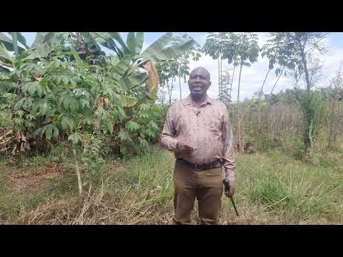 A Woman Who Is Trying To Get Out Of A Car Is Doing Something Else