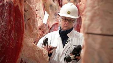 MyMSA Series FAQ: pH Measurement