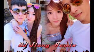 「【DJ Jiang - 將錯就錯 中越連續 2017Remix】」