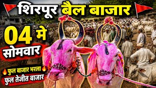 शिरपूर बैल बाजार 🛑 04 मे सोमवार | जबरदस्त फुल बाजार भरला फुल तेजी 😍