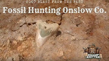 Fossils: Onslow Quarry Fossil Hunt