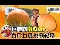《台灣超經典》【921震後奇景  卓蘭大峽谷 /  巨無霸南瓜  2成年男抬不動 / 艋舺何仙姑  42招摺出棉被花】 台灣第一等