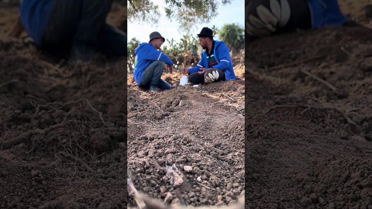 نعنوع ضهر ماشي مول 🫏