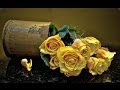 黃色的玫瑰-王孟麗 {歌詞} 輕快國語