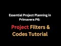 Step-by-Step Guide to Project Filters &amp; Codes for Project Planning in P6