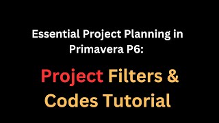 Step-by-Step Guide to Project Filters & Codes for Project Planning in P6