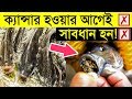 সাবধান ! তেলাপিয়া মাছ খাওয়ার আগে ১ বার হলেও ভিডিও টি দেখুন ! যে কারণে তেলাপিয়া মাছ খাওয়া উচিত নয়