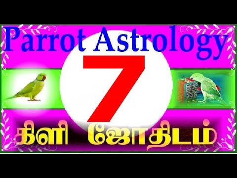 Parrot Astrology 7 கிளி ஜோதிடம் 7 - YouTube