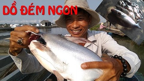 🦐Fishing 33🐟Dô Ổ Mè Rồi Tét Nách Luôn Đập Thêm Con Dồ Đém Ngon Phê🐟