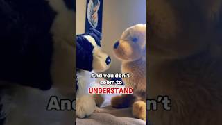 Its Not Just About The Looks