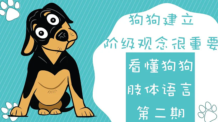 狗狗建立阶级观念真的很重要，看懂狗狗肢体语言第二期 - 天天要闻