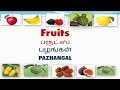 Vocabulary about fruits with pictures including tamil meaning