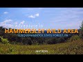 Hammersley Wild Area - Susquehannock State Forest - PA