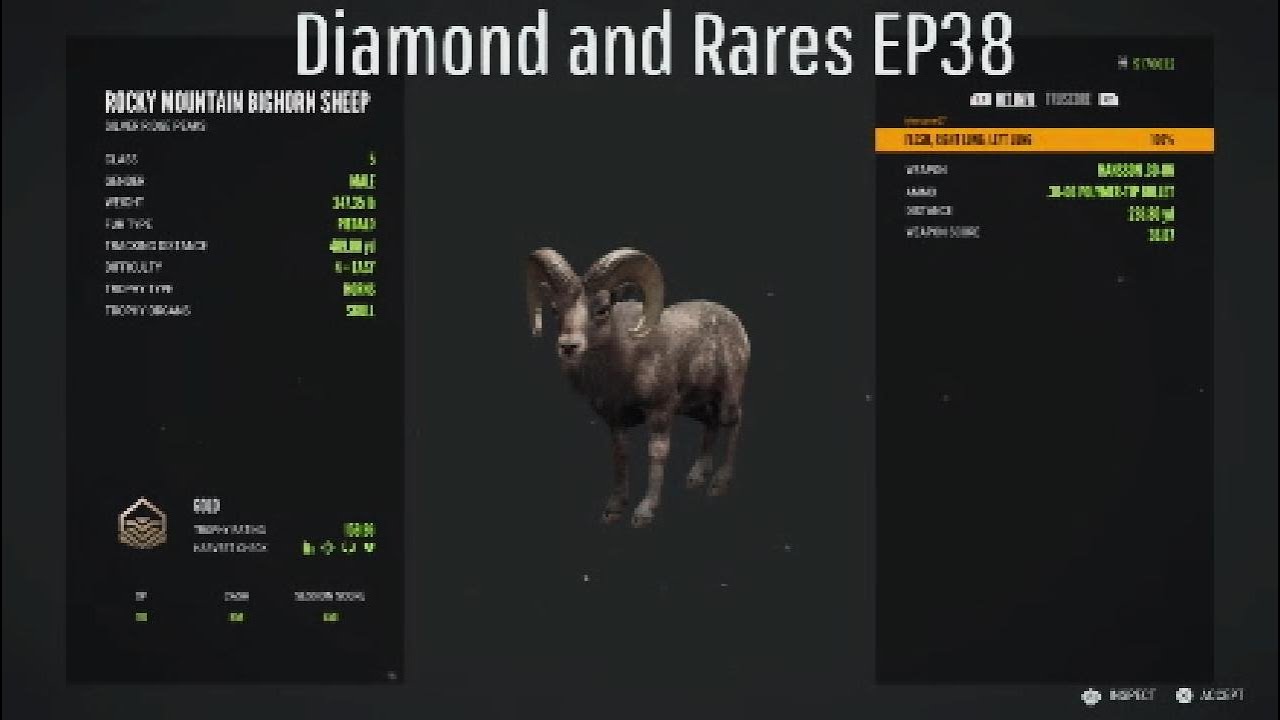 Diamond and Rares EP38 |The Hunter COTW| - YouTube
